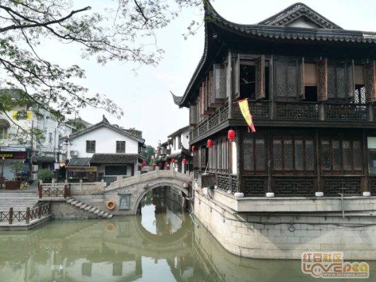 生猪稻米价值链“点睛”农业现代化